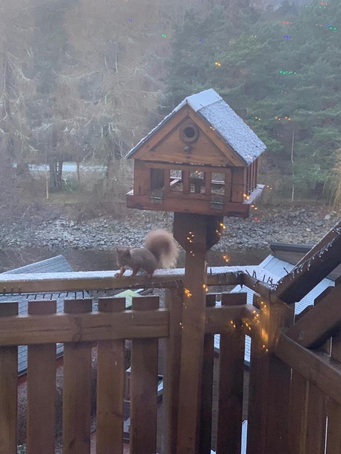 Beautiful 2 Bedroom Lodge With Stunning Views Blair Atholl Extérieur photo